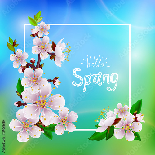 Hello spring