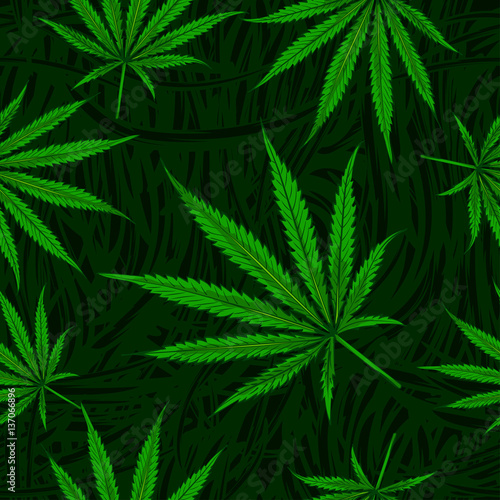 Fototapeta Naklejka Na Ścianę i Meble -  Cannabis leafs seamless vector pattern