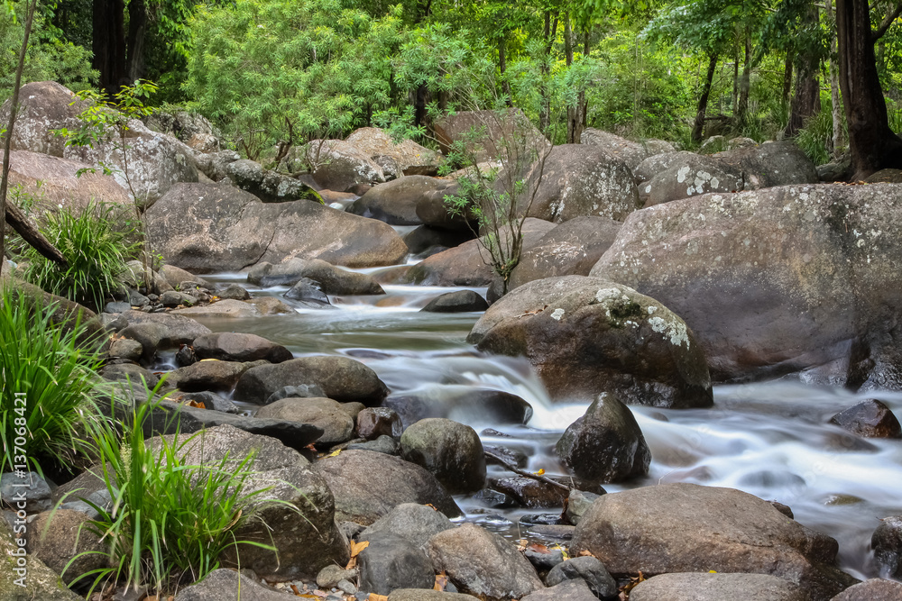 Cascade in the rainforest, Jourama Falls, Paluma Range National Park, Queensland, Australia Cascade in the rainforest, Jourama Falls, Paluma Range National Park, Queensland, Australia