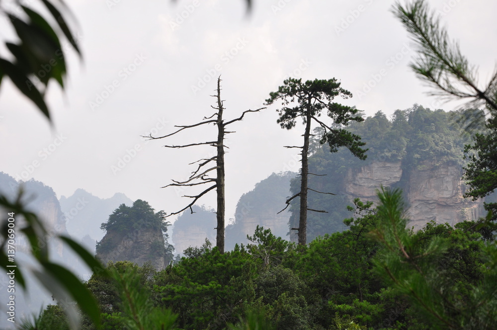 Obraz premium Wulingyuan