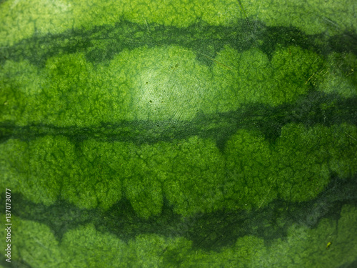 Watermelon skin texture background