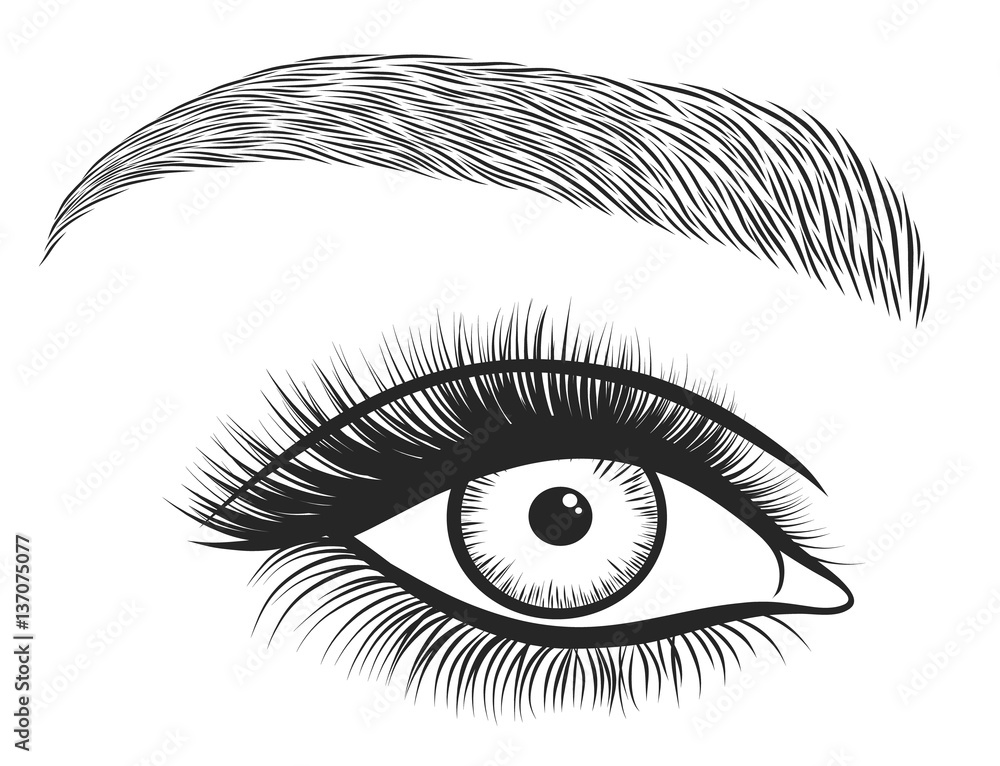 Obraz premium Hand drawn bright eyes with thick, long eyelashes and perfect brows. Stylized decorative makeup. Vector illustration