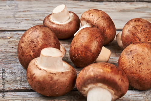 Champignons with brown cap.