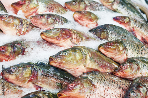 Cooled purified fish carp on store