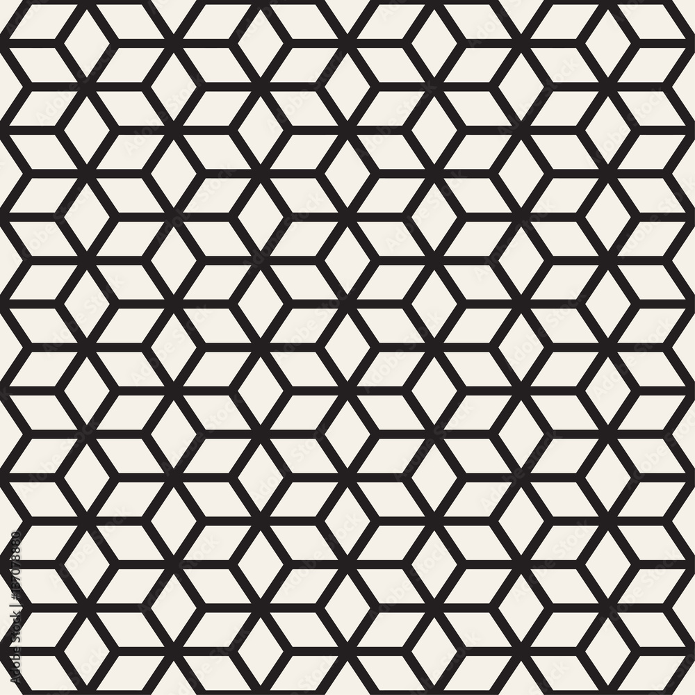Trendy Monochrome Line Lattice. Vector Seamless Black and White Pattern. Trendy Monochrome Line Lattice. Vector Seamless Black and White Pattern.