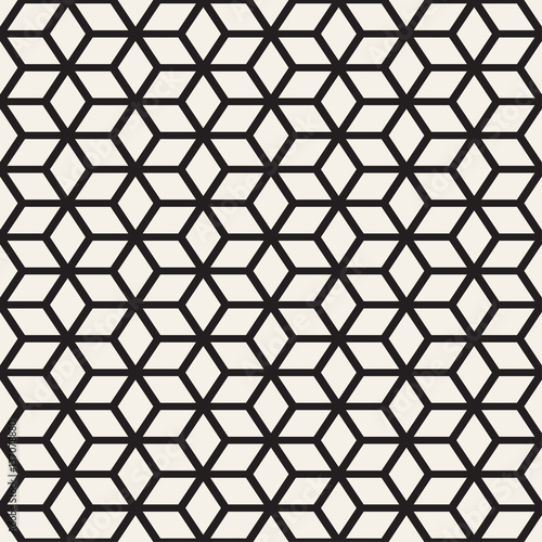 Trendy Monochrome Line Lattice. Vector Seamless Black and White Pattern.