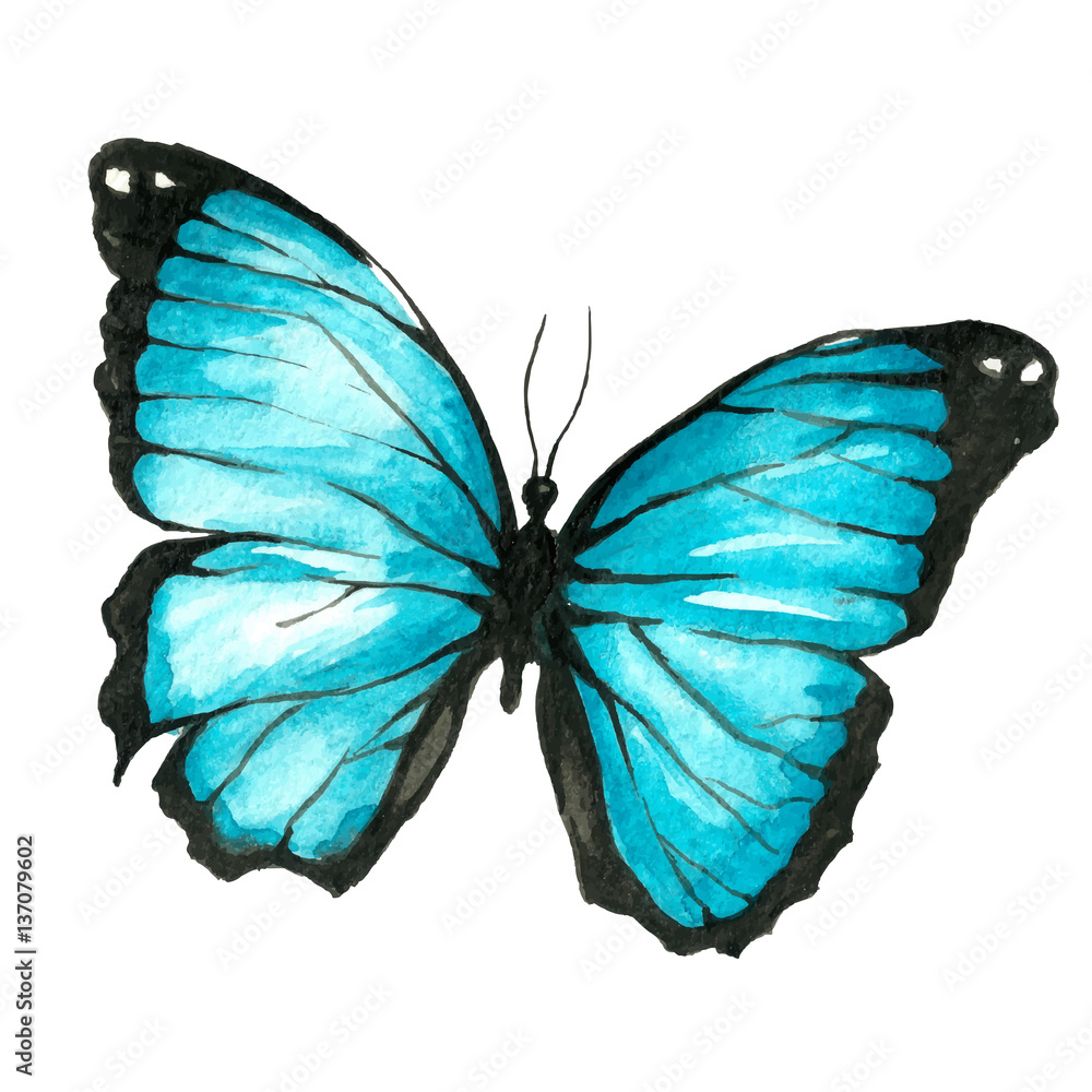 Fototapeta premium Illustration of a blue butterfly painted by hand with watercolor