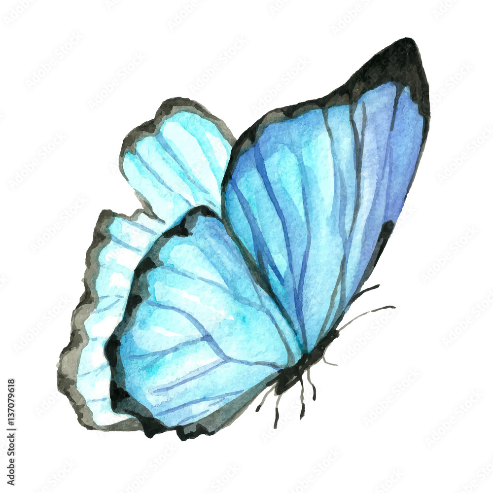 Illustration of a blue butterfly painted by hand with watercolor Stock ...