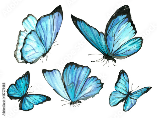 A set of blue watercolor butterfly photo