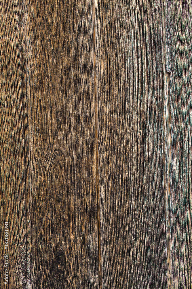 Fototapeta premium old wooden door