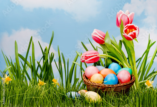 Easter, eggs, flowers, grass, sky, blue, yellow, branch, basket, hare