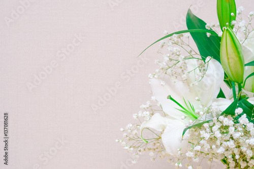 Big white lily flower at light empty background. White flowers s