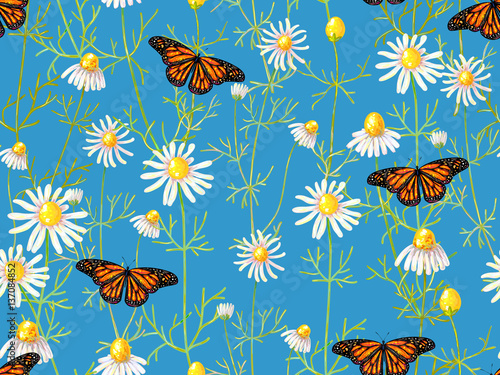 Seamless floral pattern with chamomile flowers and butterfly. Su