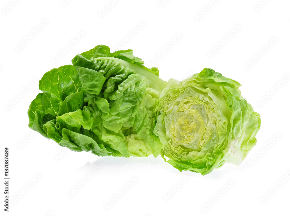 fresh baby cos (lettuce) on white background fresh baby cos (lettuce) on white background