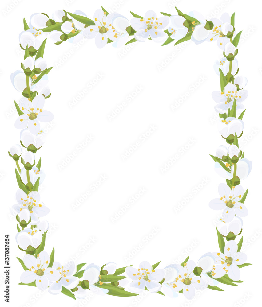 Vector  floral    frame.
