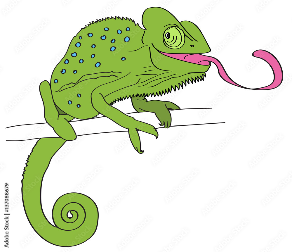 chameleon - picture drawing on tablet Stock Illustration | Adobe Stock