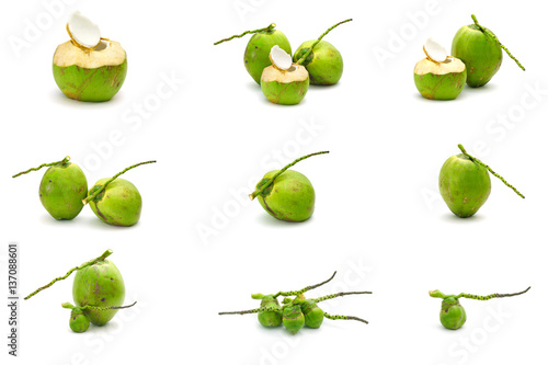Collection set of Coconut Ripe and tasty isolated on white background