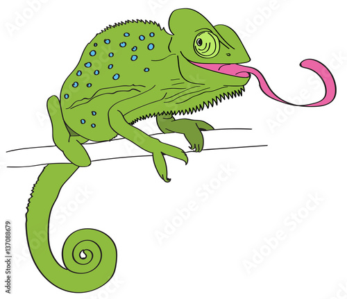 chameleon - picture drawing on tablet