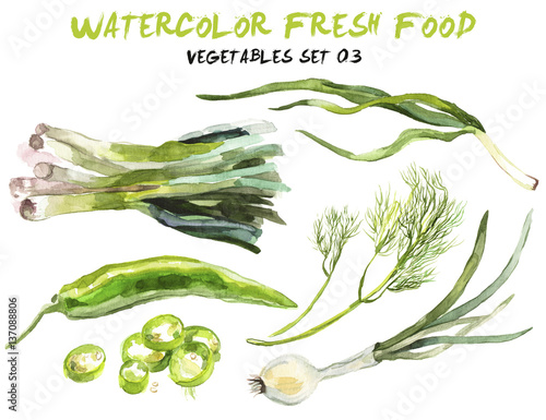 Watercolor vegetables isolated on white photo