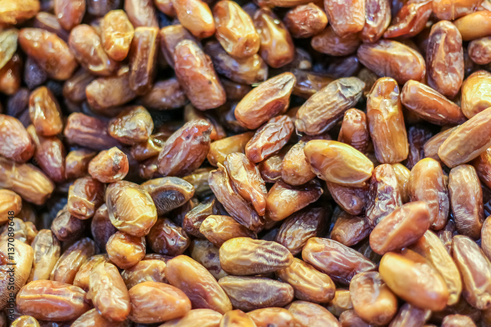 Fruits of the date palm (Phoenix dactylifera) Fruits of the date palm (Phoenix dactylifera)