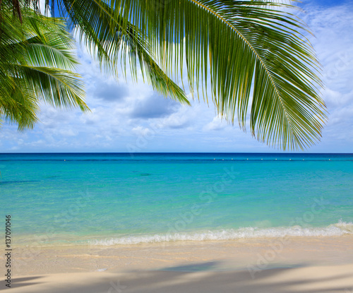 Caribbean sea and palm leaves.