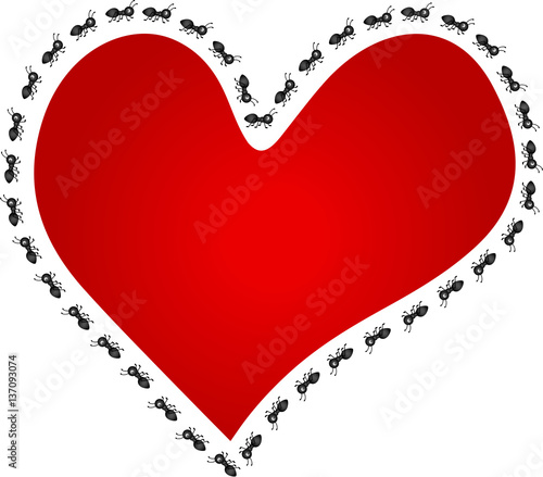 Ants around red heart
