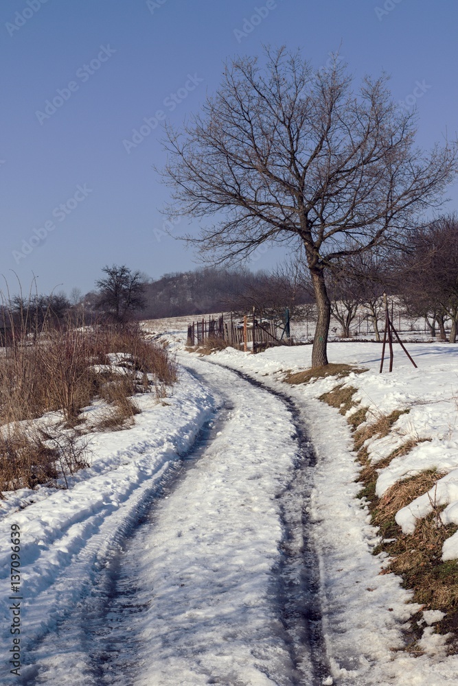 snowy landscape and forest in winter snowy landscape and forest in winter