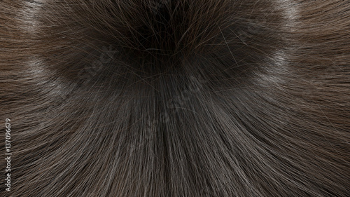 long hair texture