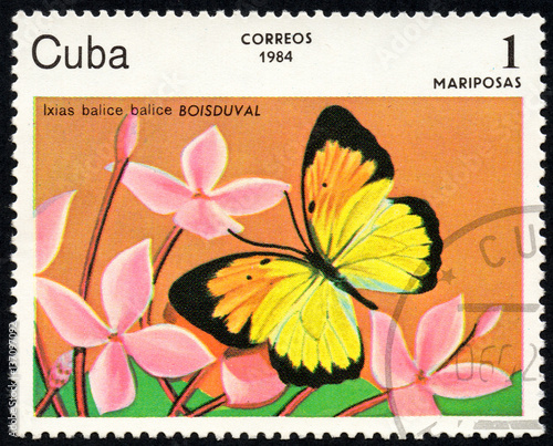 UKRAINE - CIRCA 2017: A stamp printed in Cuba, shows image of a butterfly Ixias balice balice BOISDUVAL close-up, circa 1984 photo