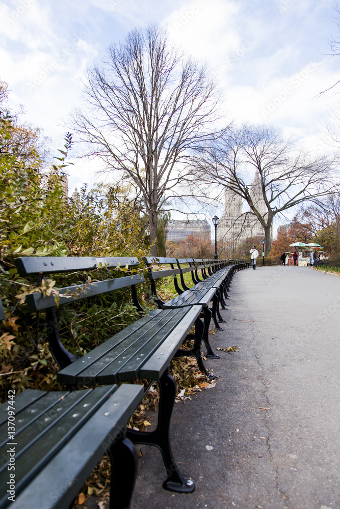 Fototapeta premium Benches on Central Park Path