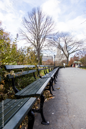 Benches on Central Park Path