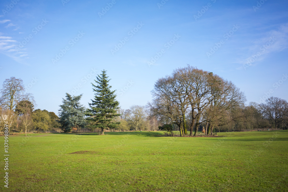 Fototapeta premium Countryside in the winter