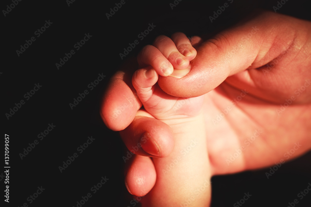 parent's hand holding newborn's hand
parent's hand holding newborn's hand