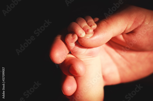 parent's hand holding newborn's hand 