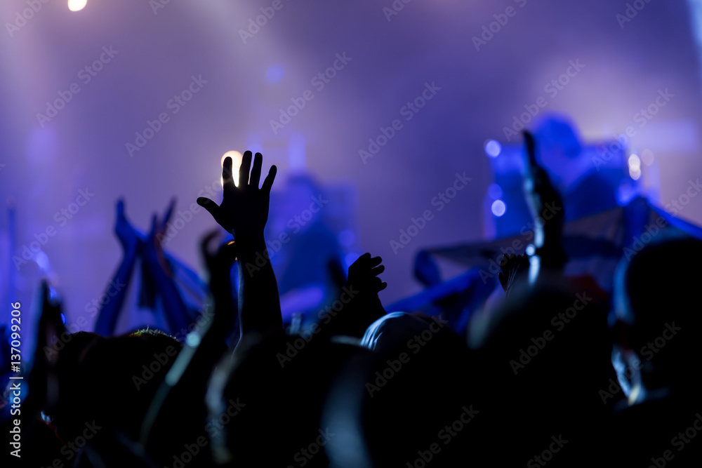 Crowd people with hands in the air at a music festival
