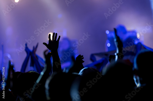 Crowd people with hands in the air at a music festival