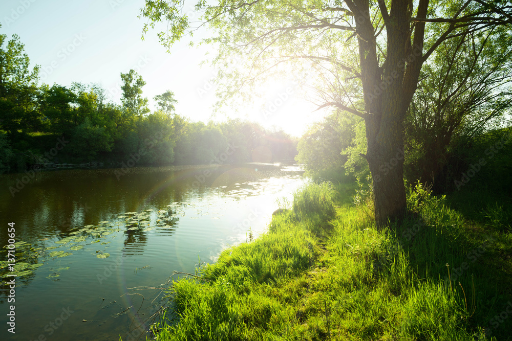 Morning on the river Morning on the river