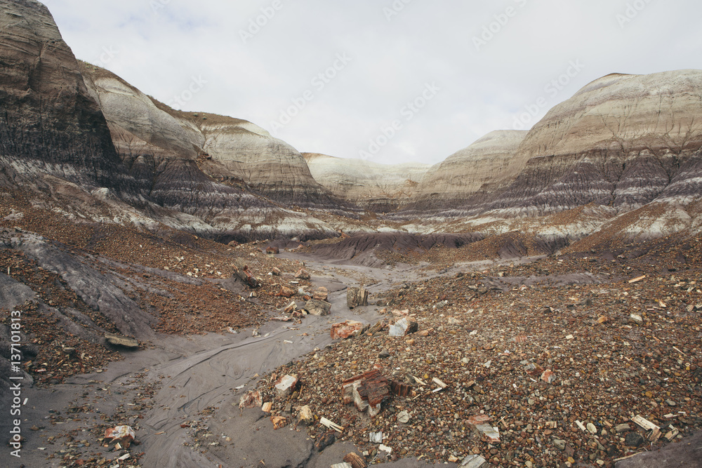 Elevated view of the Painted Desert rock formations in the Petrified Forest National Park