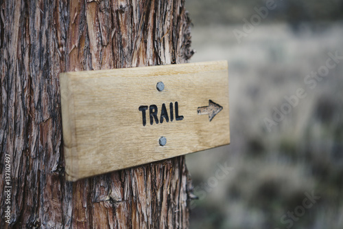 A wooden sign on a tree on the trail in the John Day Fossil Beds National Monument, Oregon photo