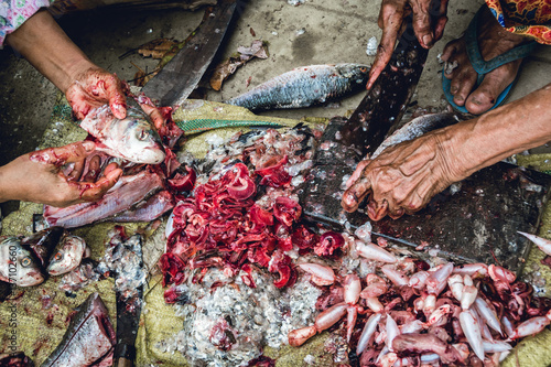 Cutting and preparing Rohu fishes for a big family in Burmese village near Yangon, Irrawaddy delta, Myanmar - 2