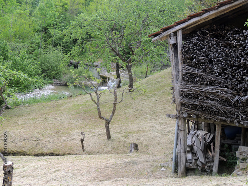 Legnaia di campagna photo