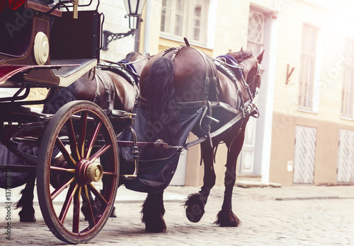 Photos Horse and a beautiful old carriage in old town.