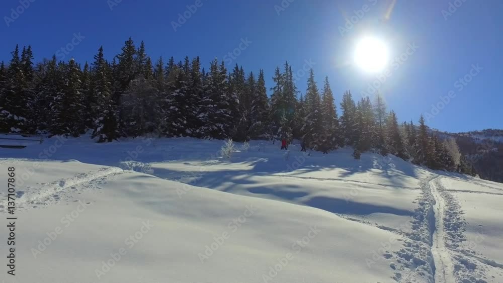 People with snowshoeing in a forest - Winter sport in the nature People with snowshoeing in a forest - Winter sport in the nature