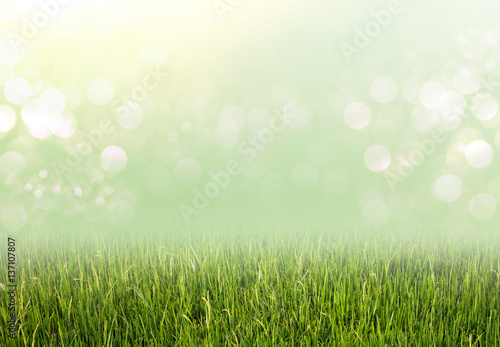 Environmental eco concept and bokeh background