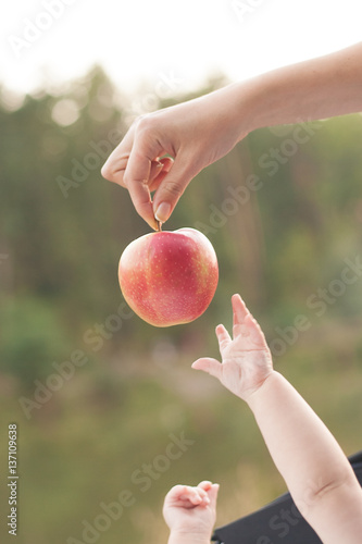 Close up of babies hands reaching out to apple in mother's hand on the autumn forest background
