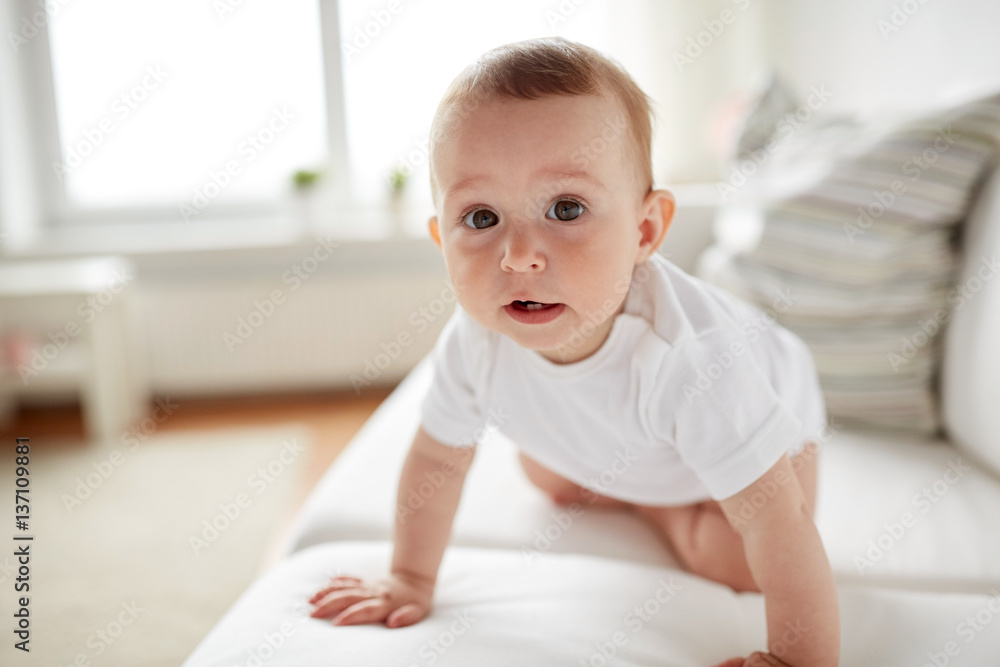little baby in diaper crawling along sofa at home little baby in diaper crawling along sofa at home