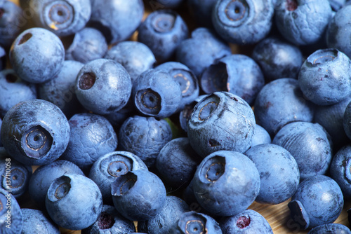 Bilberry Close Up