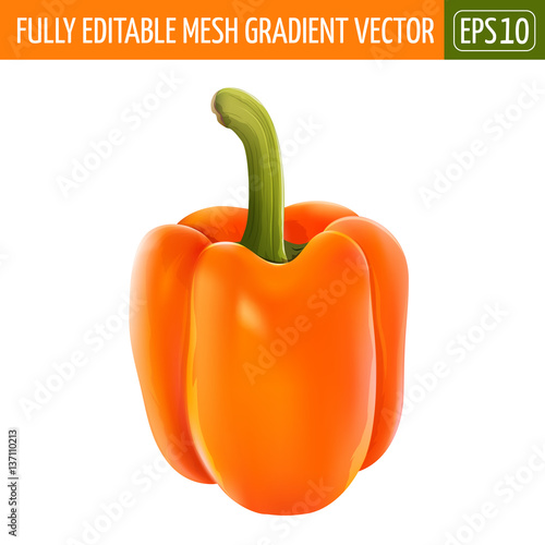 Orange pepper on white background. Vector illustration