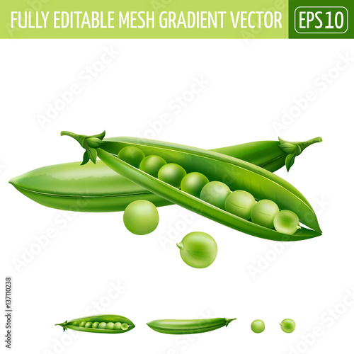 Green peas on white background. Vector illustration
