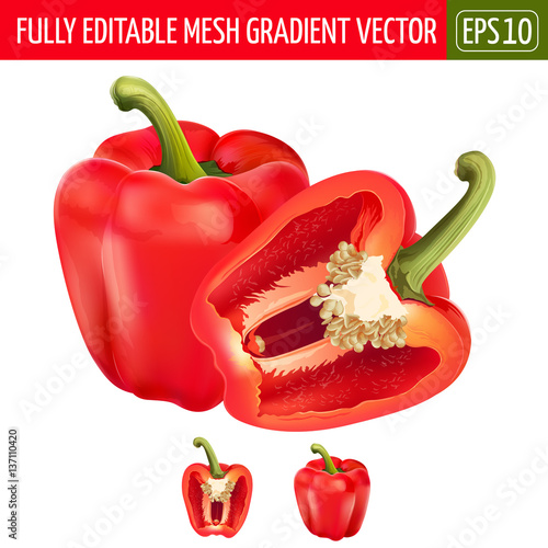 Red pepper on white background. Vector illustration